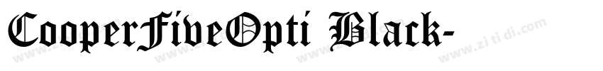 CooperFiveOpti Black字体转换